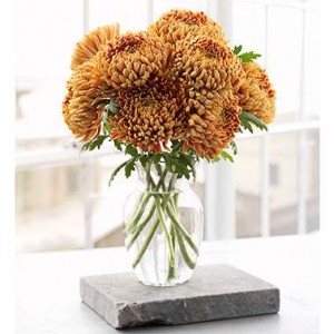 fall decorating ideas for the bath