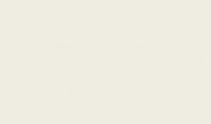 light brown grey wall paint