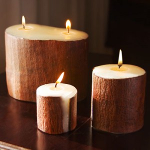cinnamon bark candle cinnamon candle