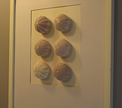 Shell art DIY