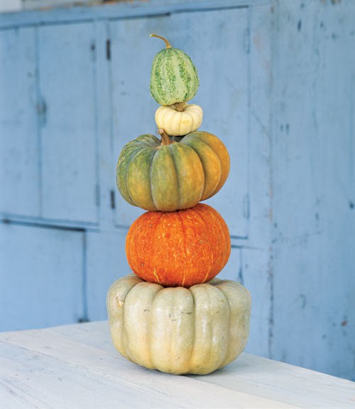 pumpkin decor ideas