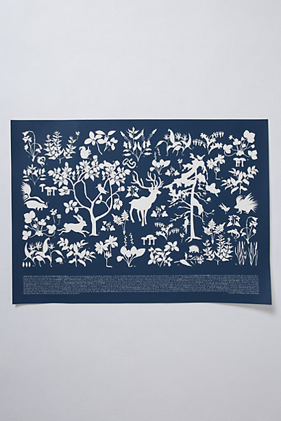 Boreal Flora and Fauna Print