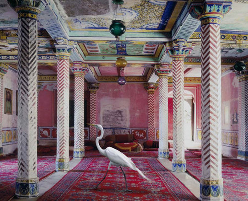 photo by Karen Knorr via Curbed