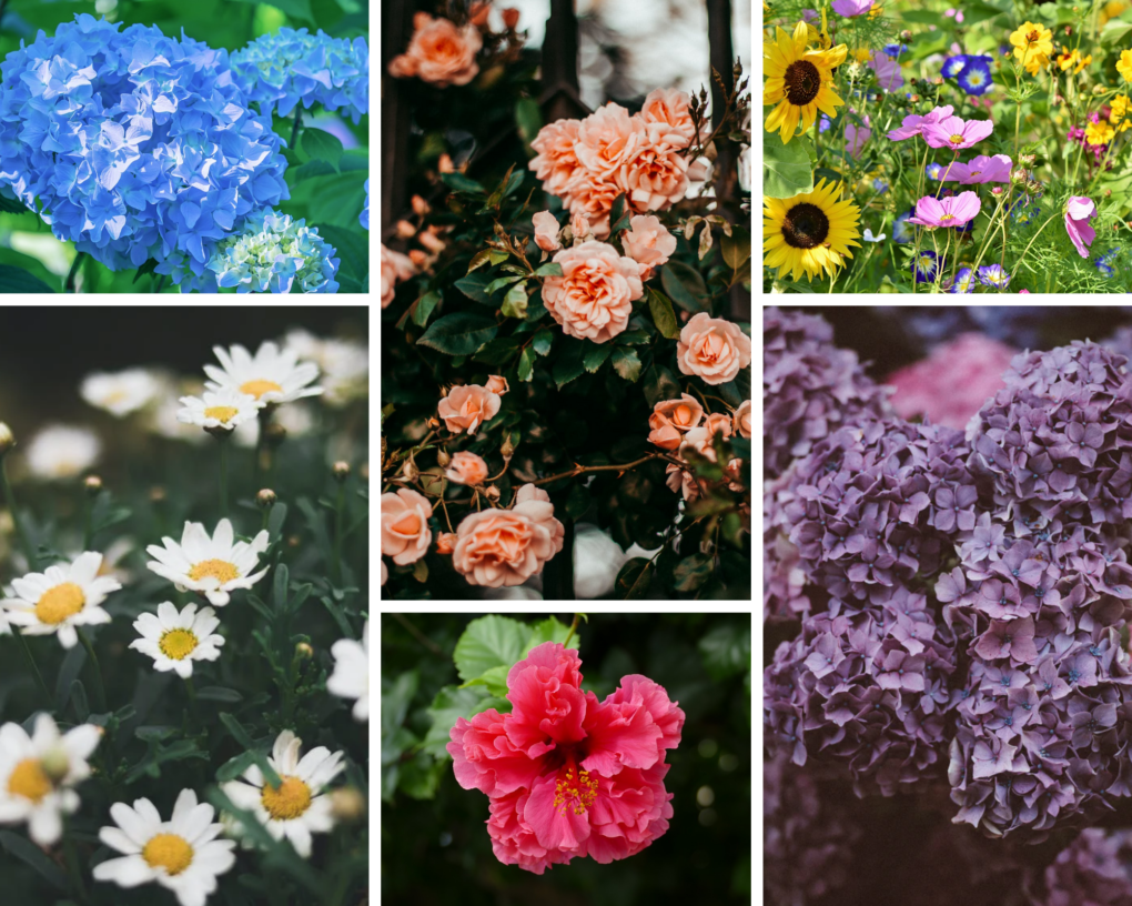 Our Floral Patterns Guide: Decorating With Floral Prints| Saffron Marigold