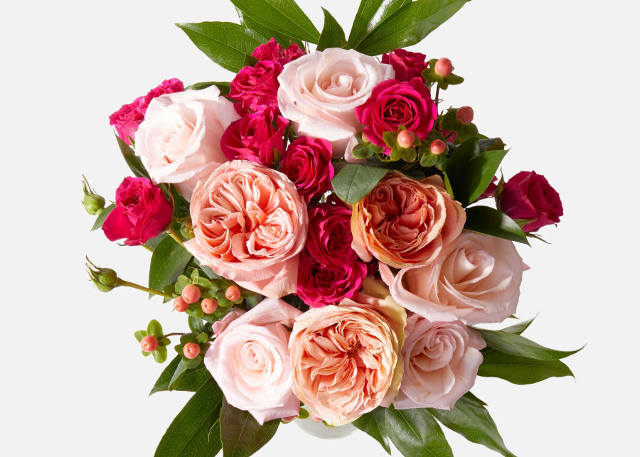 Pink rose bouquet from Urban Stems, The Crush