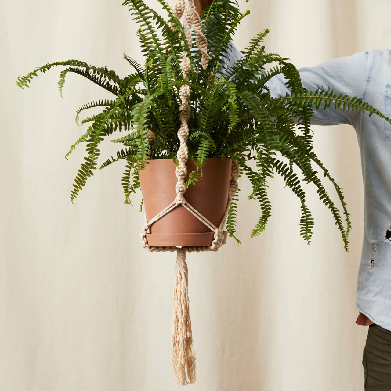 A man out of frame holding a terracotta potted plant in a macrame hanger