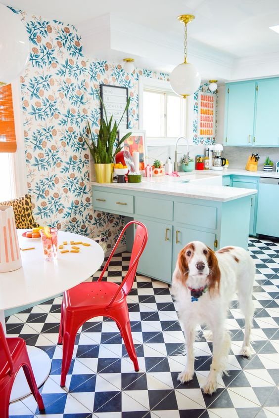 A picture of a colorful kitchen with a brown and white dog in the foreground