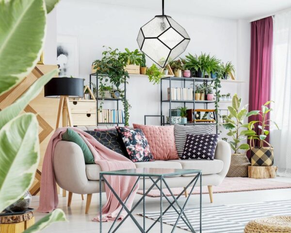 A living room with a gray sofa, pink and black throws and quilt, and plants on shelves in the background