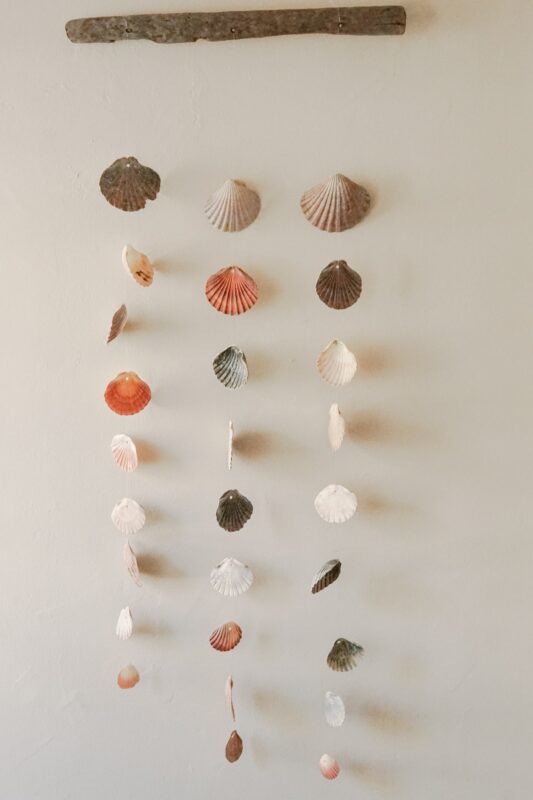 Photograph of seashells strung together and hanging off of a driftwood on a blank white wall