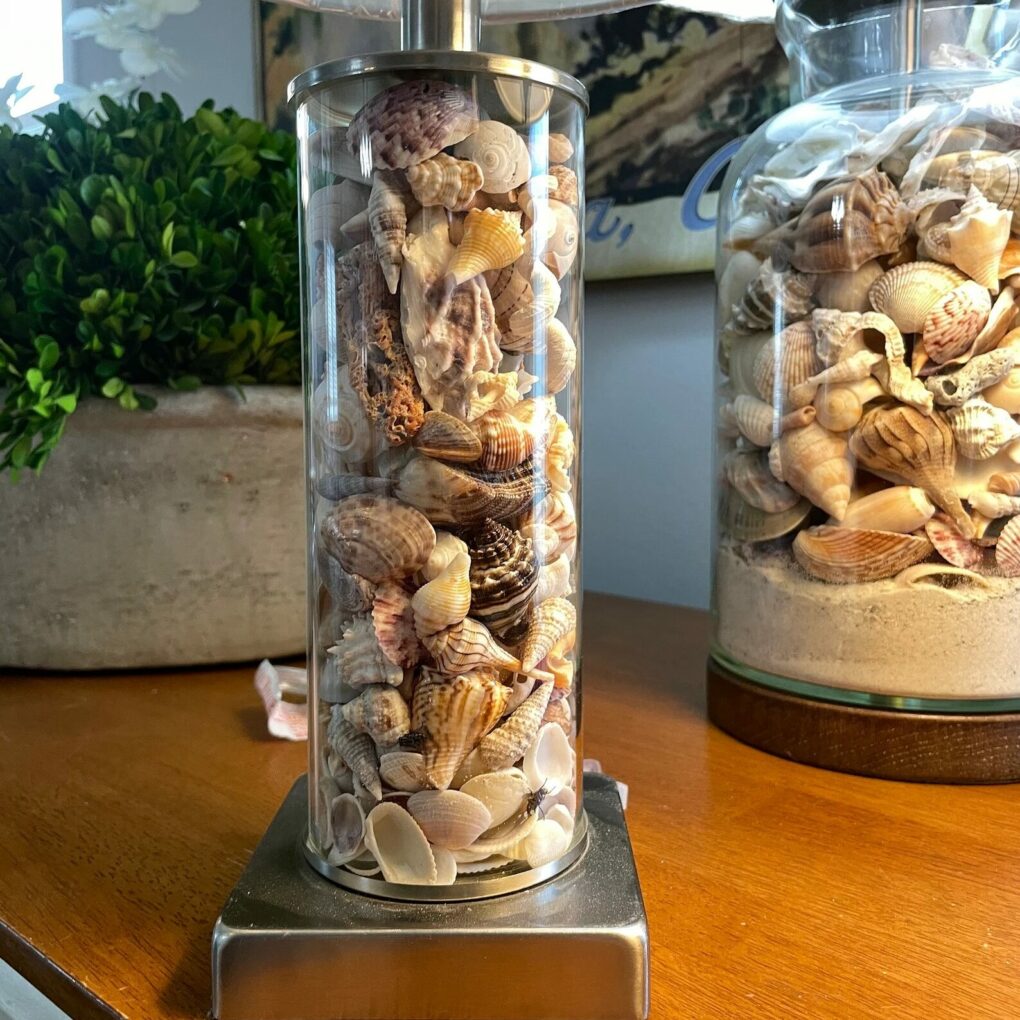 11 Ways to Decorate With Seashells for a Breezy Coastal Home - Saffron ...