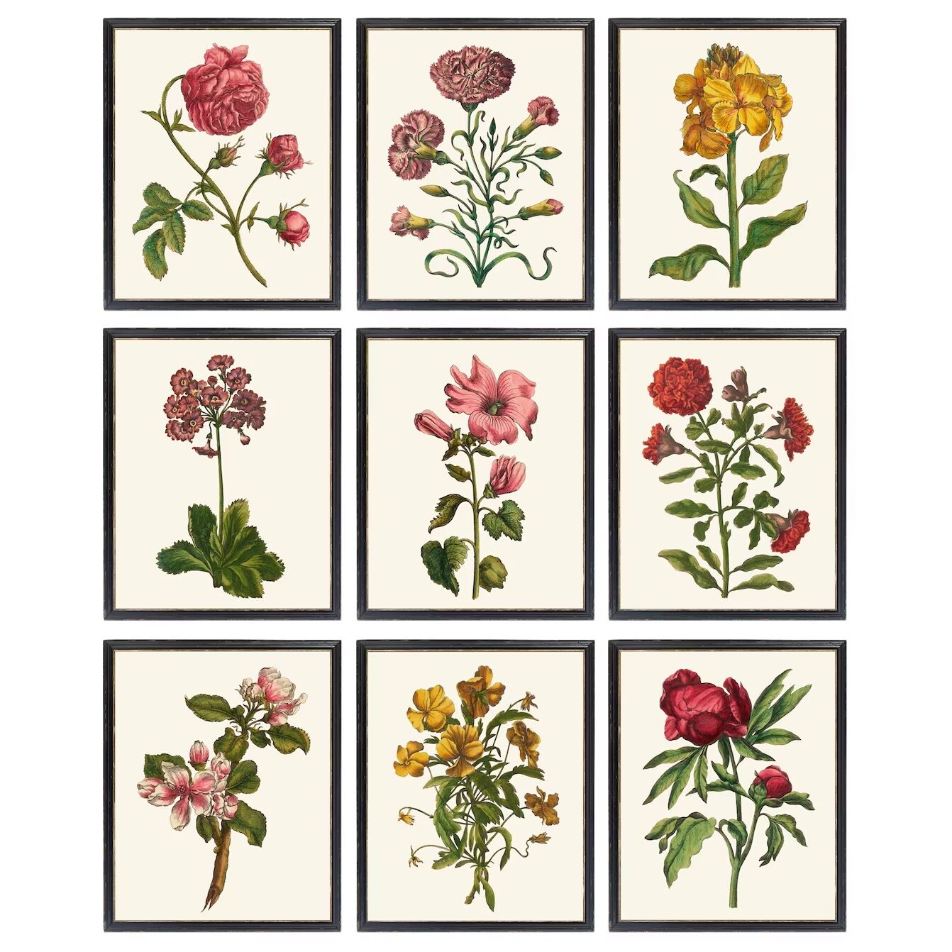 Floral, Green, White Decor With Floral Print, Empress Gardens - Saffron ...