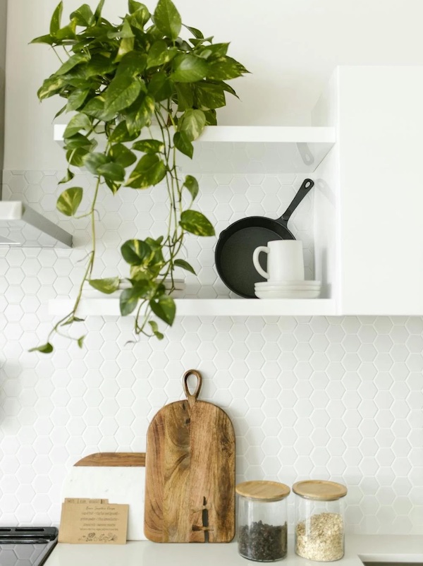 Photograph of a minimalist kitchen featuring a potted plant, glass jars, and other utensils displayed on the kitchen counter to demonstrate kitchen counter decor ideas