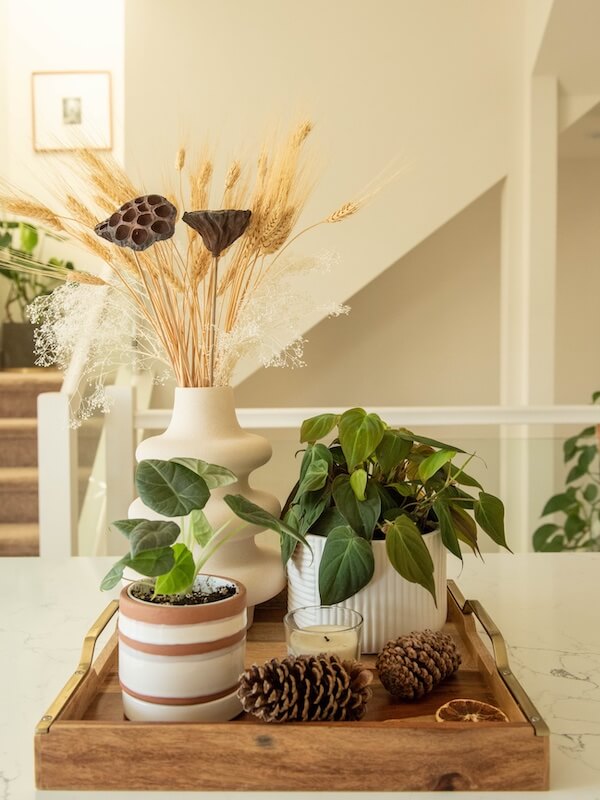 Photograph of a kitchen tray filled with decorative items to demonstrate kitchen counter ideas