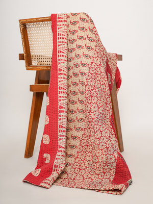 Alka Yadav ~ Vintage Kantha Quilt Sari Throw