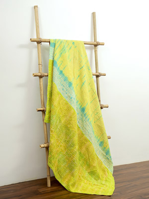 Meva Yadav ~ Vintage Kantha Quilt Sari Throw